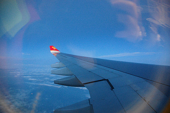 fly.jpg