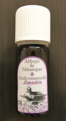 souvenir2_oil.jpg